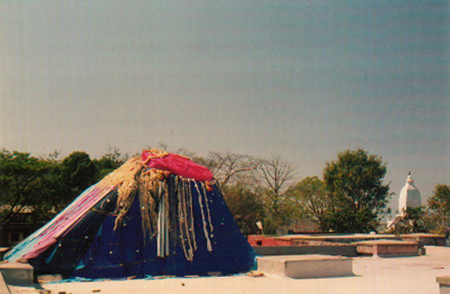 tri6b-jpg